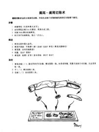 外科标本规范取材-1图2