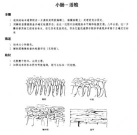 外科标本规范取材-4图11