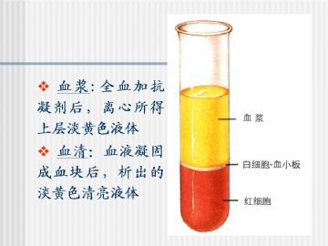 组织胚胎学-血液及造血组织（图片）图3