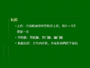 胃粘膜组织学图4