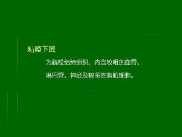 胃粘膜组织学图6