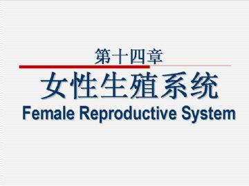 组织胚胎学-女性生殖系统（图片）图1