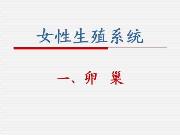 组织胚胎学-女性生殖系统（图片）图4