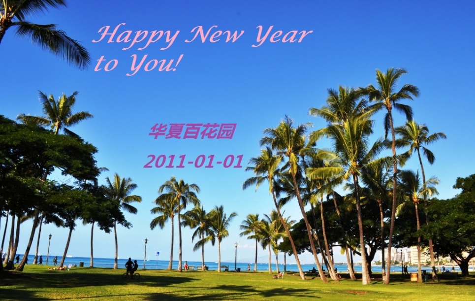 HAPPY NEW YEAR TO YOU图1