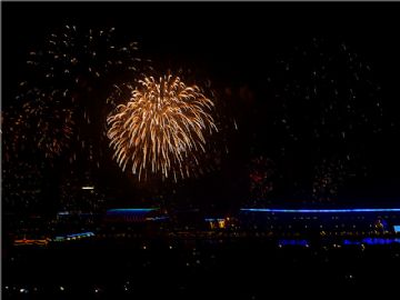 火树银花贺新年图2