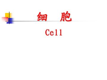 组织胚胎学-细胞(图片)图1