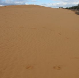 沙漠？Perry Sandhills图2