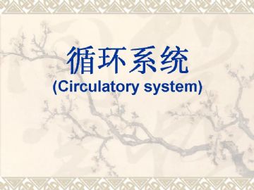 组织胚胎学-循环系统（图片）图1