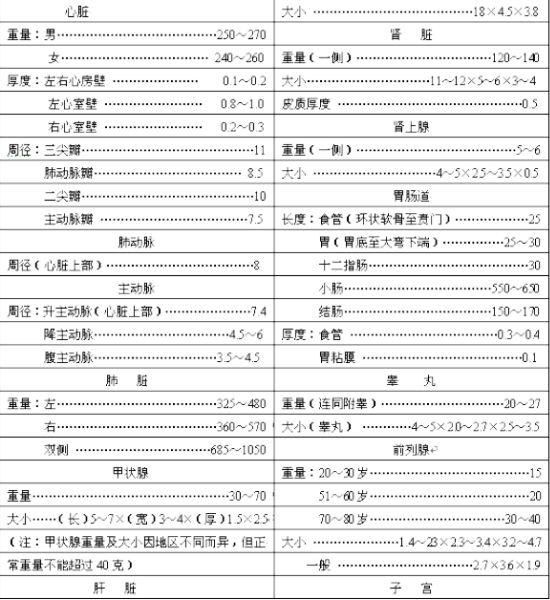 正常人器官体积跟重量表图1