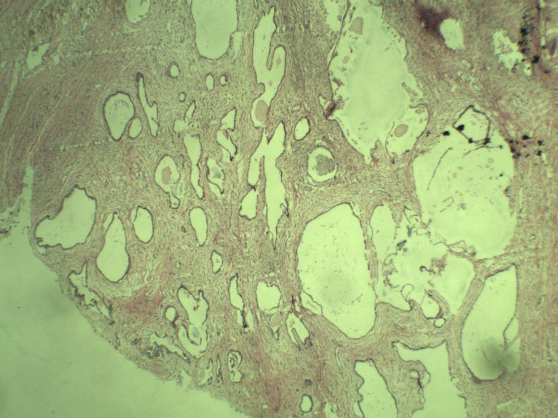 前列腺有问题没?图1