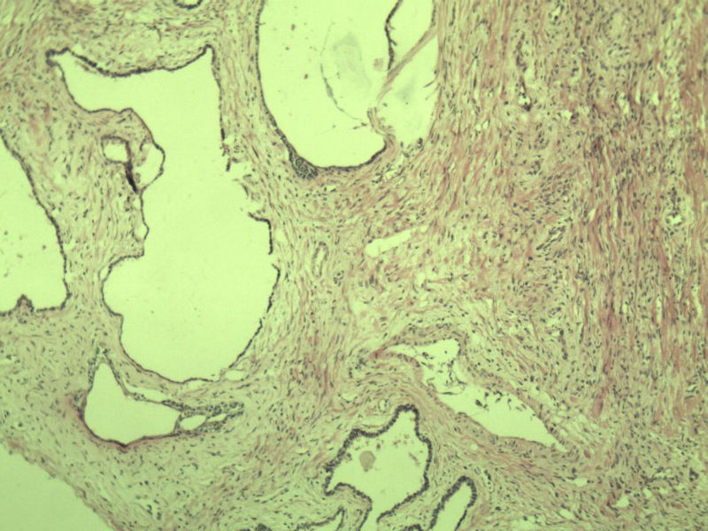 前列腺有问题没?图10