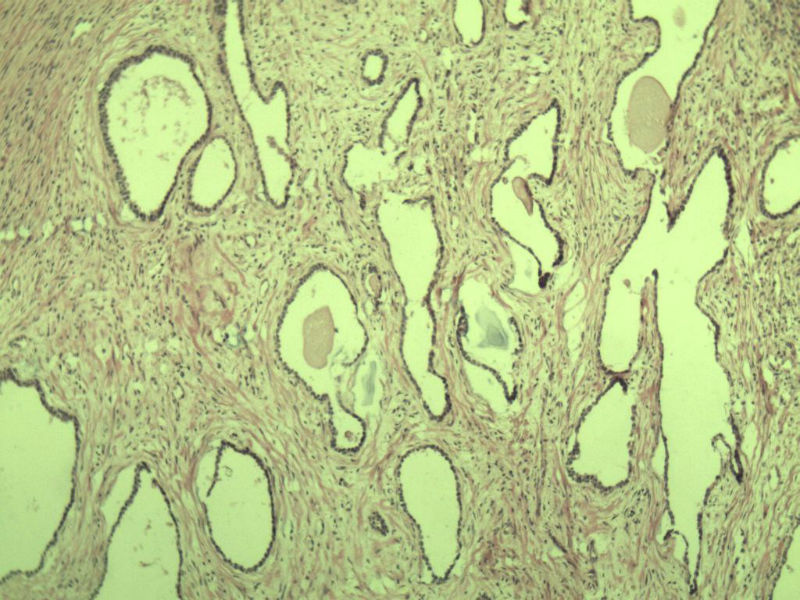 前列腺有问题没?图11