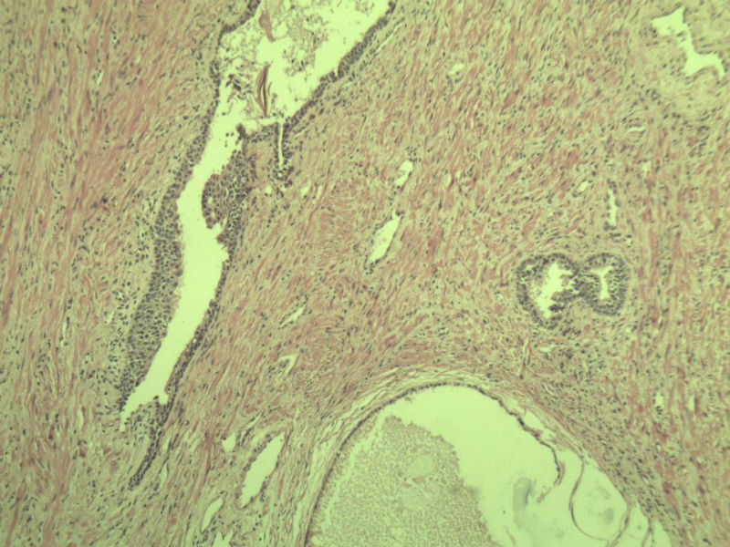 前列腺有问题没?图15