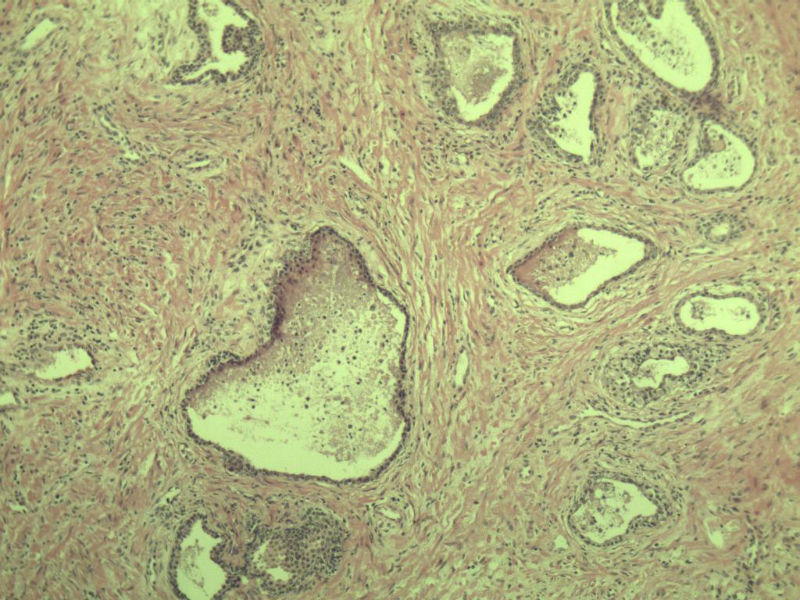 前列腺有问题没?图18