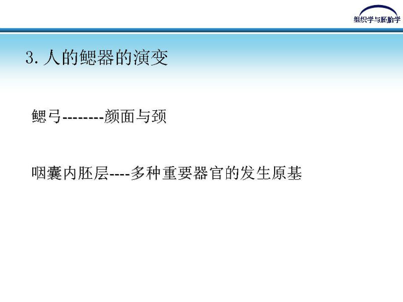 组织胚胎学-颜面和四肢的发生图5